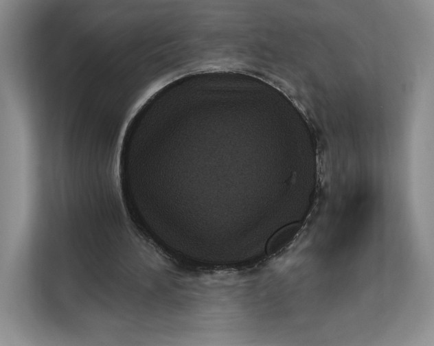 X0000111620196200908071357