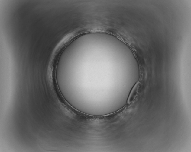 X0000111620197200908071357