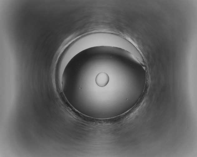 X0000111620199200908071357