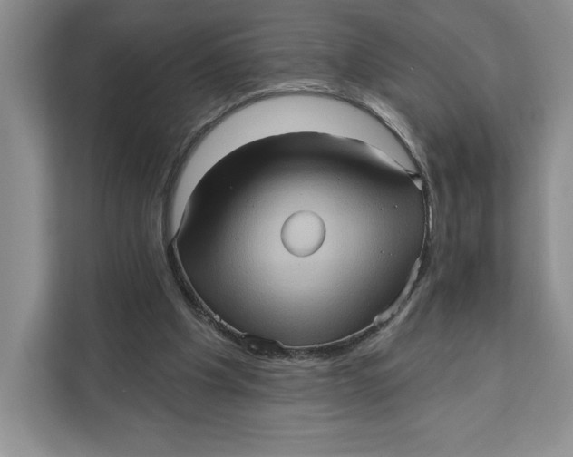 X0000111620201200908071357