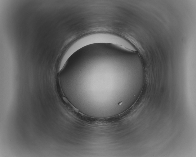 X0000111620207200908071357