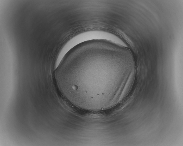 X0000111620209200908071357