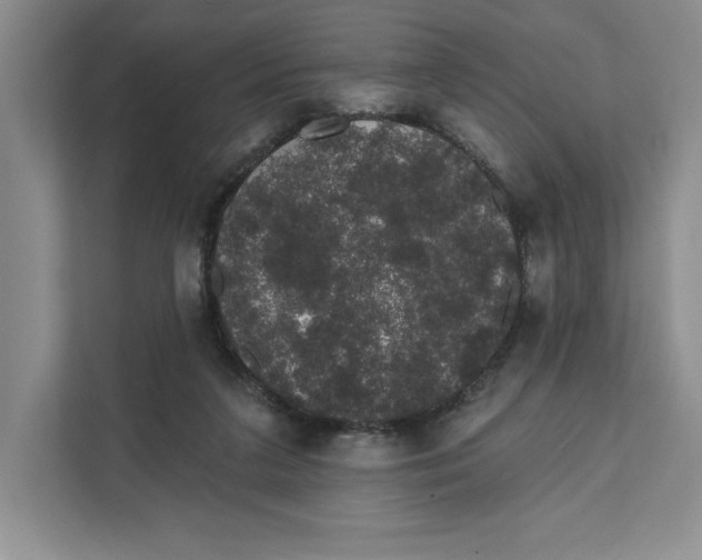 X0000111620211200908071357