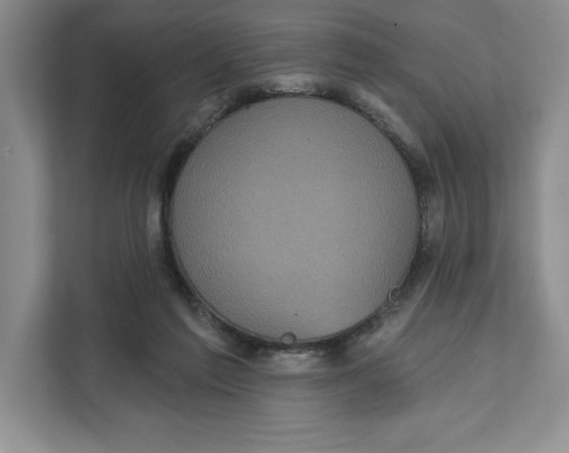 X0000111620213200908071357