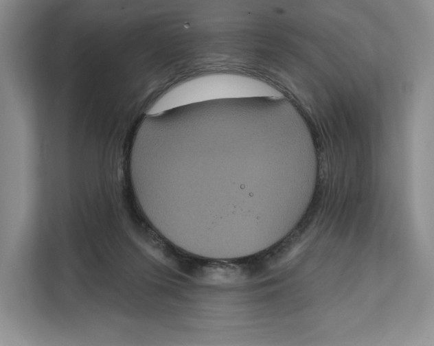 X0000111620215200908071357