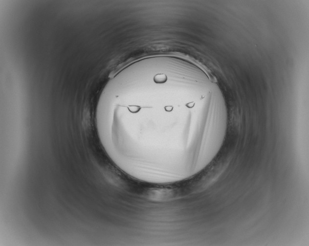 X0000111620220200908071357