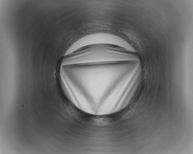 X0000111620221200908071357