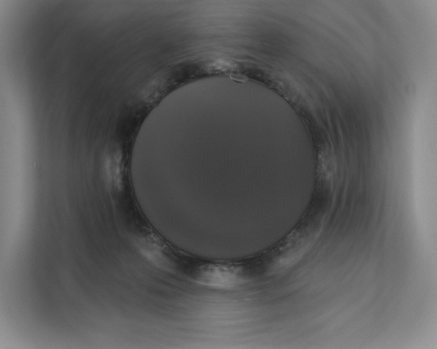 X0000111620223200908071357