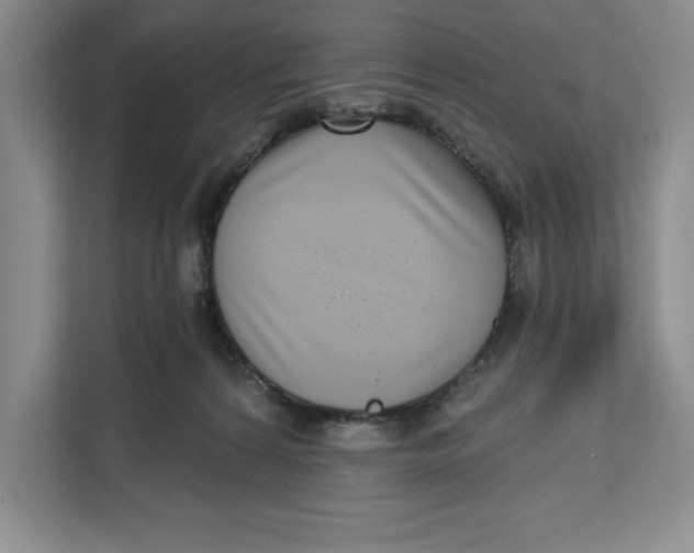 X0000111620224200908071357