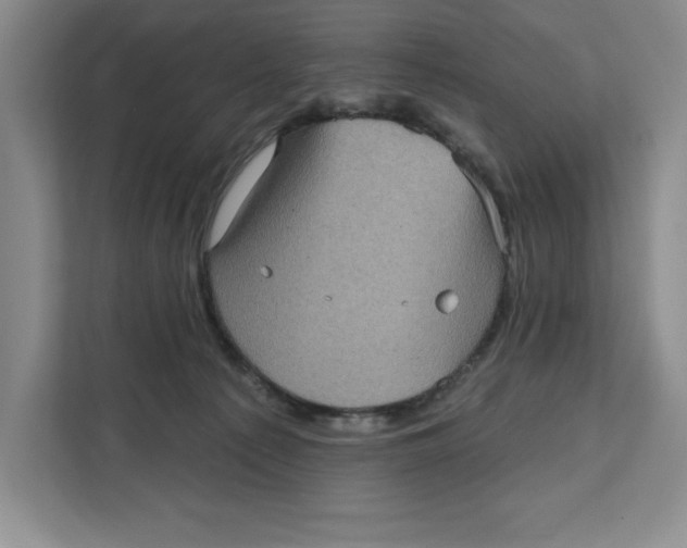 X0000111620225200908071357