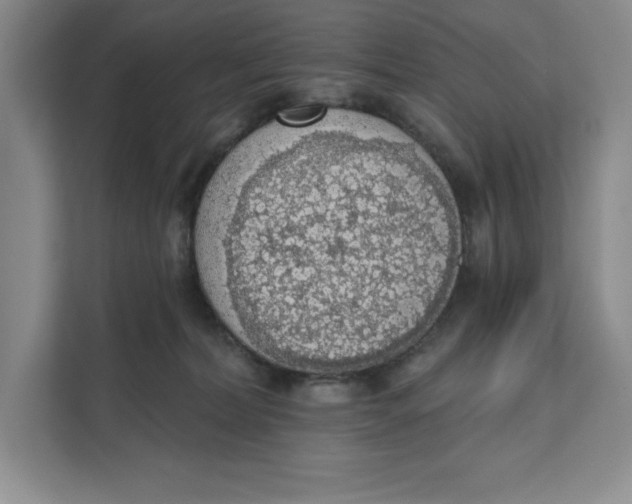 X0000111620228200908071357