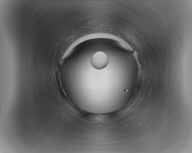 X0000111620229200908071357