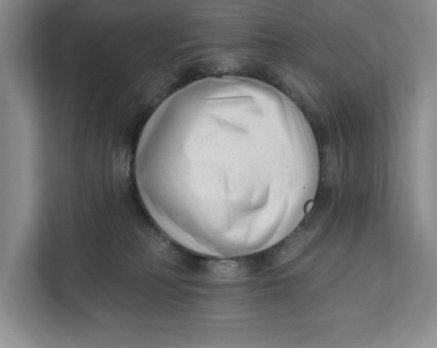 X0000111620230200908071357