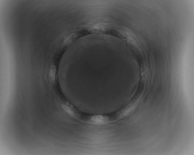 X0000111620231200908071357