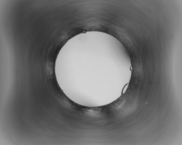 X0000111620232200908071357