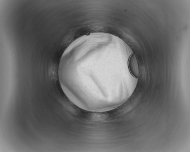 X0000111620234200908071357