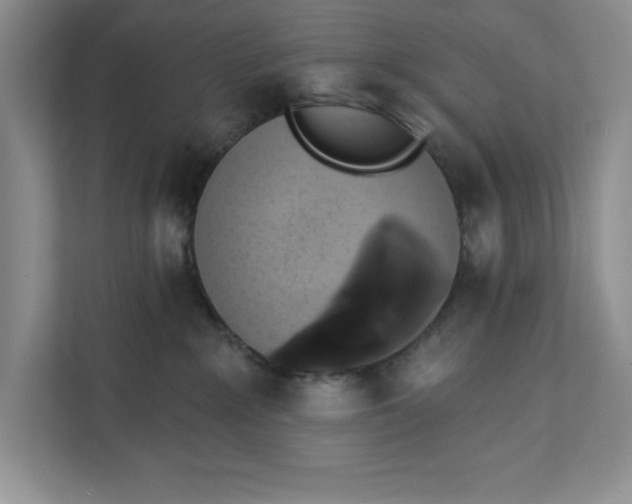 X0000111620235200908071357