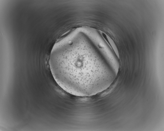 X0000111620237200908071357