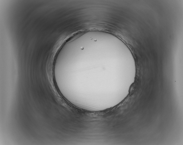 X0000111620241200908071356