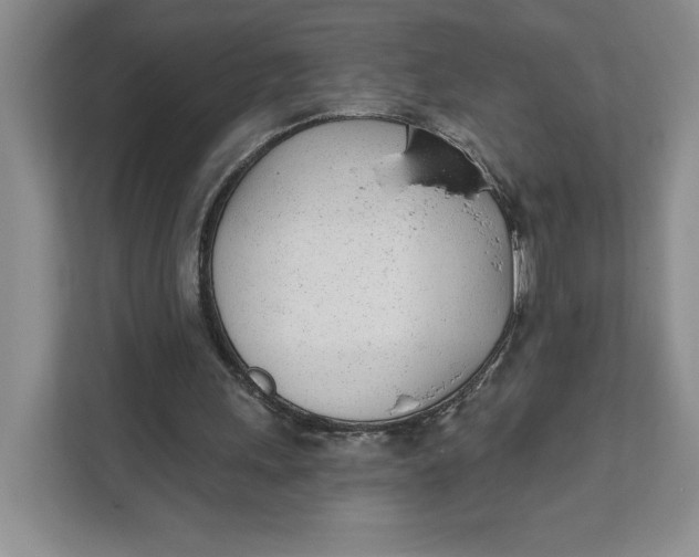 X0000111620243200908071356