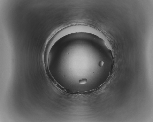 X0000111620244200908071356