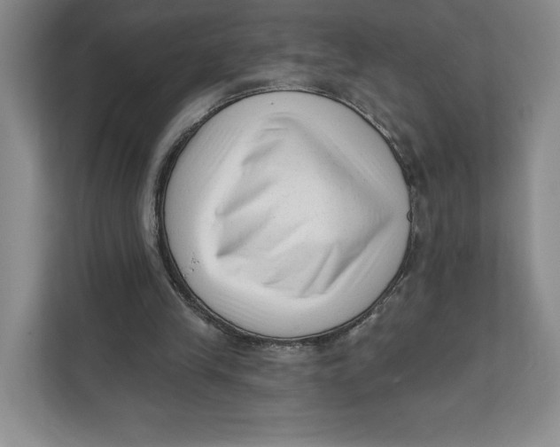 X0000111620245200908071356