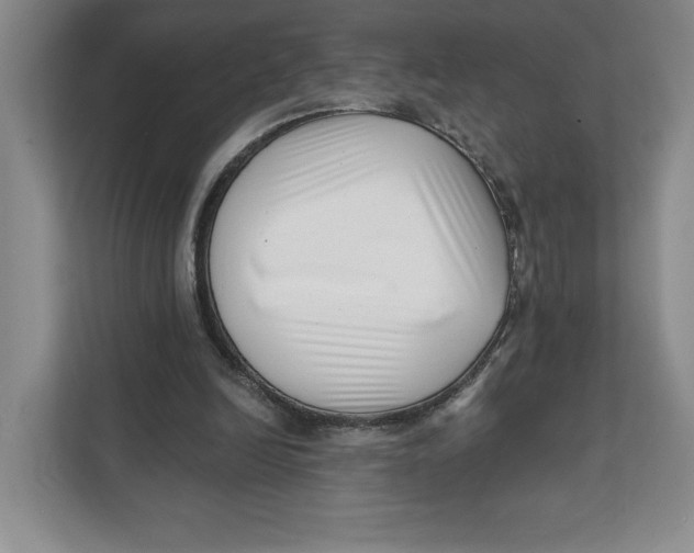 X0000111620246200908071356