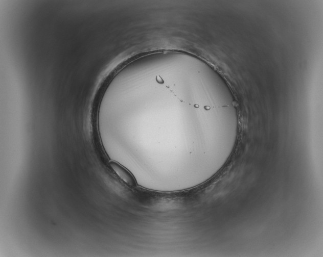 X0000111620248200908071356