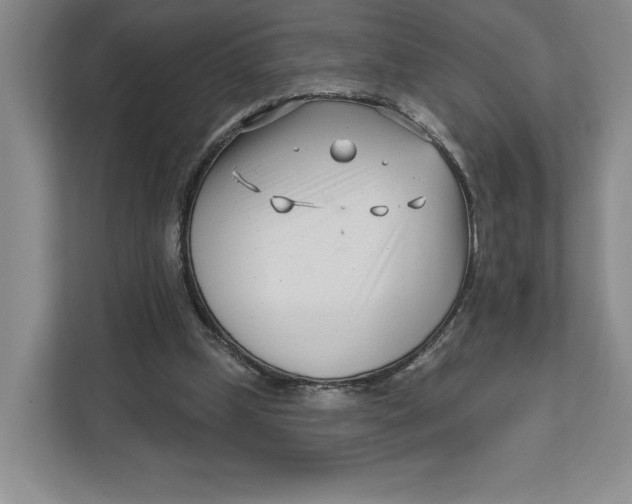 X0000111620249200908071356