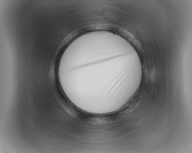 X0000111620250200908071356