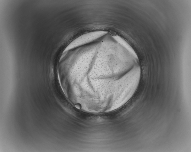 X0000111620254200908071356