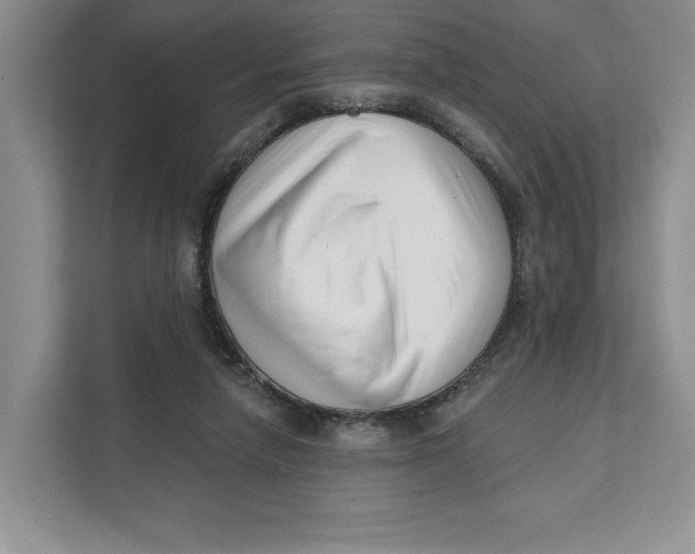 X0000111620258200908071356