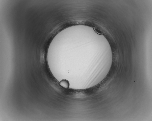 X0000111620262200908071356