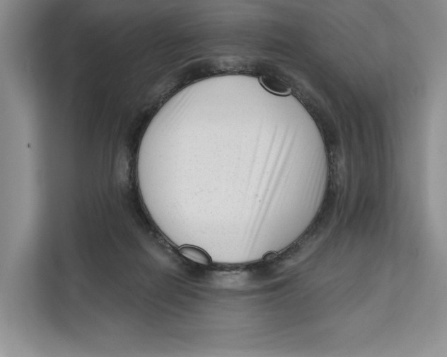 X0000111620266200908071356