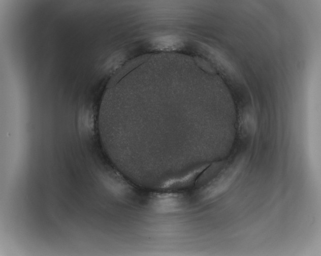 X0000111620268200908071356