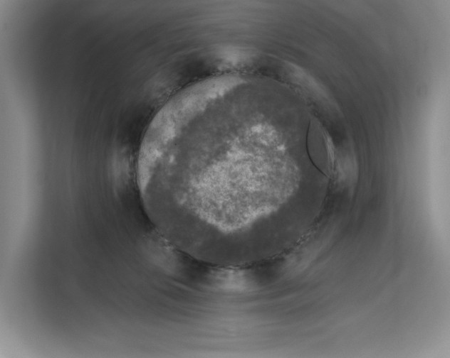 X0000111620276200908071357