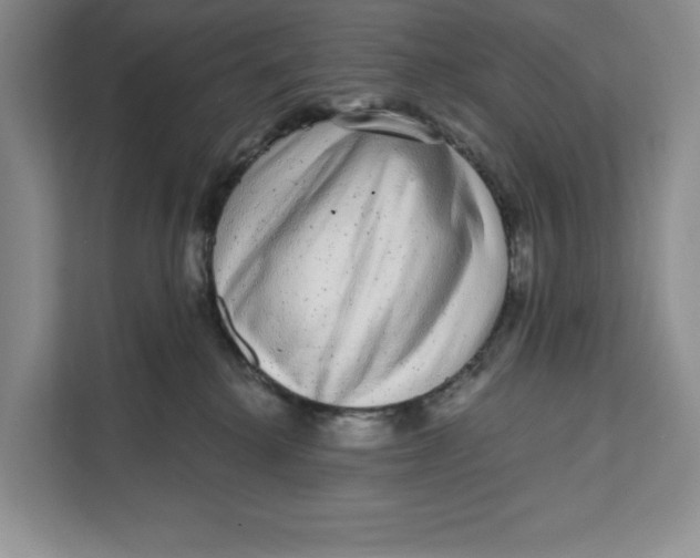 X0000111620280200908071357