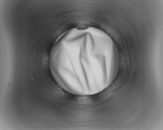 X0000111620281200908071357