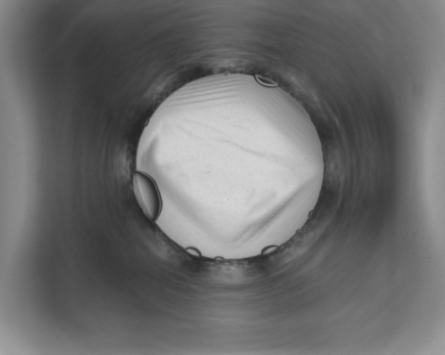 X0000111620282200908071357