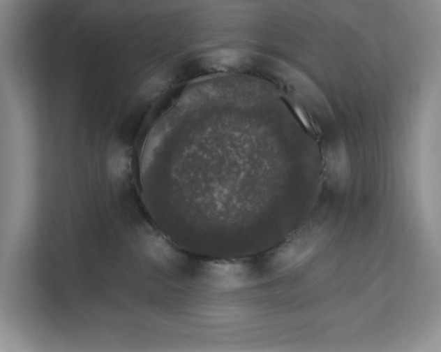 X0000111620284200908071357