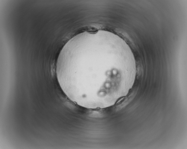 X0000111620285200908071357