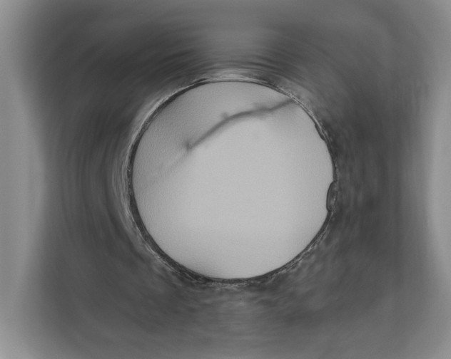 X0000111620289200908071356