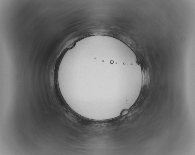 X0000111620291200908071356