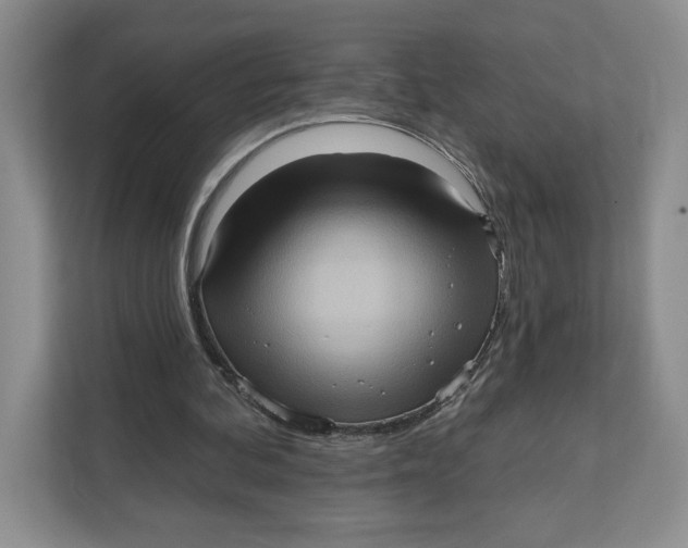 X0000111620292200908071356