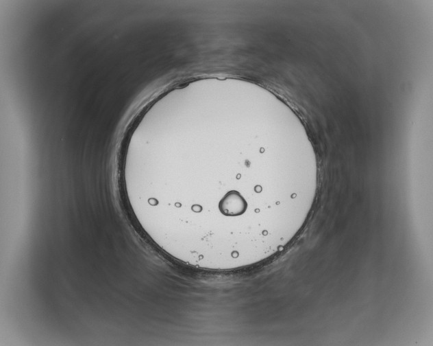 X0000111620293200908071356