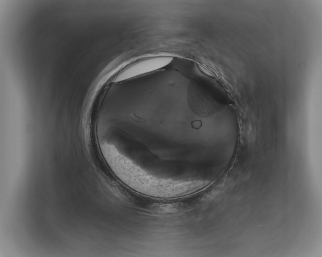 X0000111620295200908071356