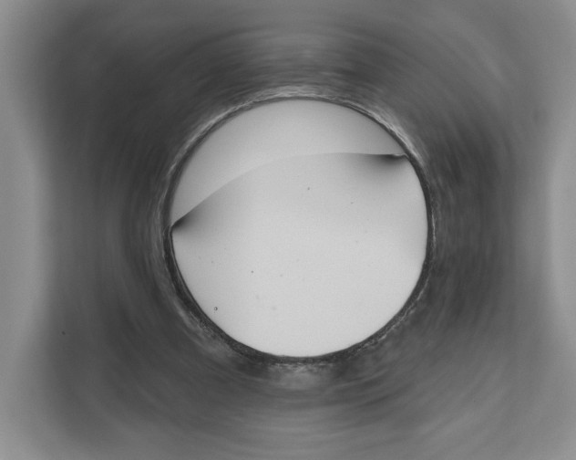 X0000111620297200908071356