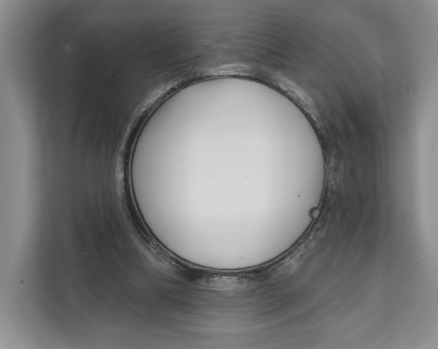 X0000111620298200908071356