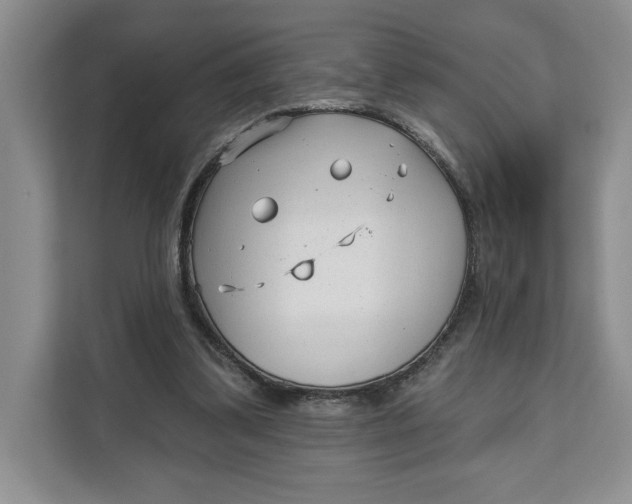 X0000111620299200908071356