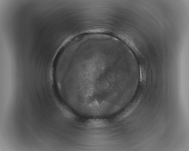 X0000111620300200908071356